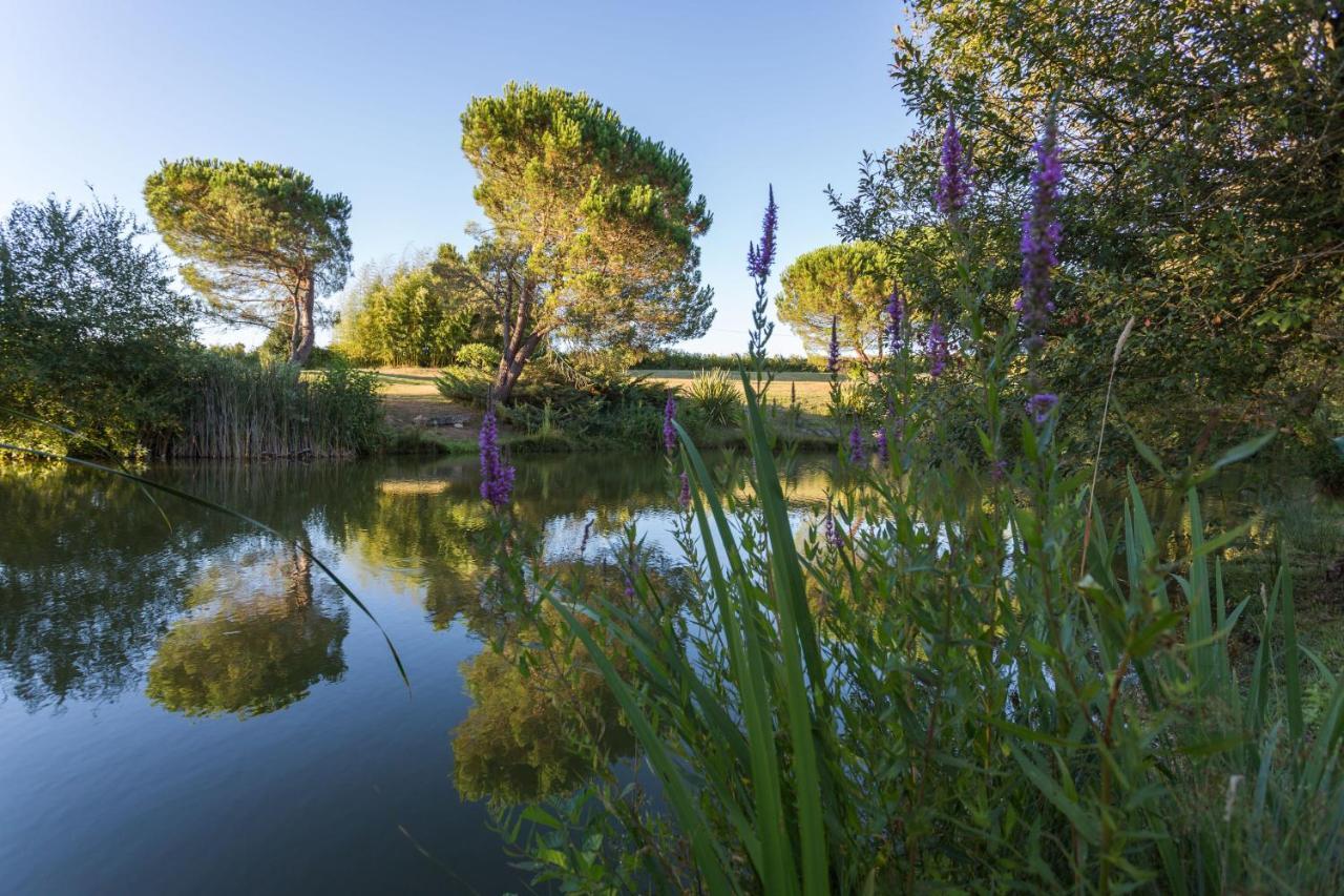 Couette-café La Marviniere Saint-Bonnet-sur-Gironde