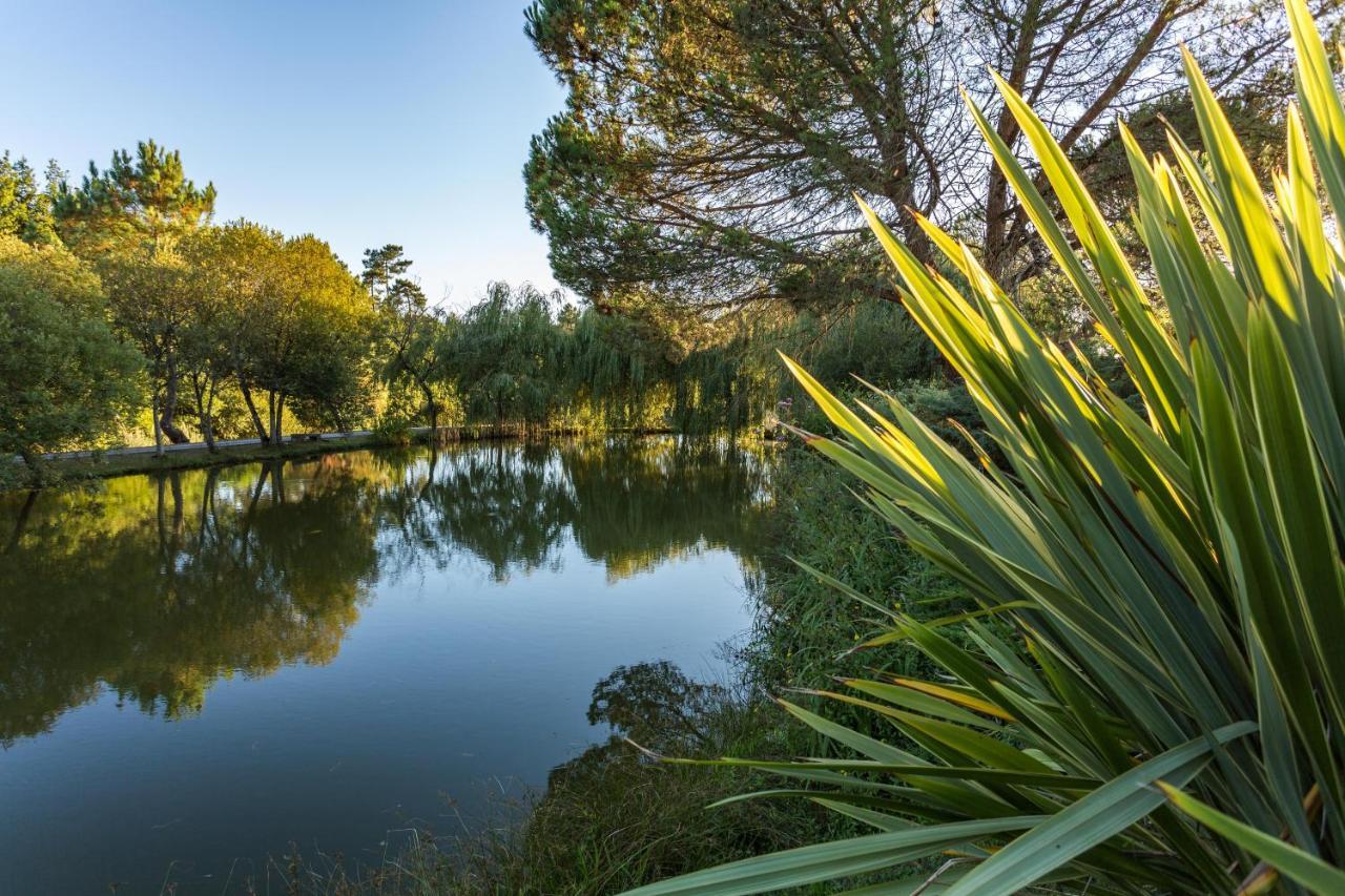 La Marviniere Bed & Breakfast Saint-Bonnet-sur-Gironde
